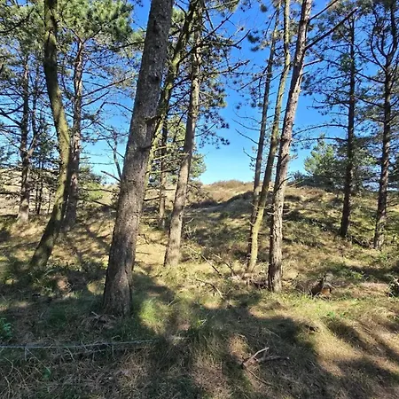 5 Person Holiday Home In Romo * Toftum (Syddanmark)